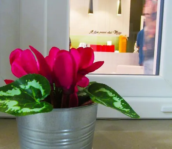 A Due Passi Dal Mare 招待所